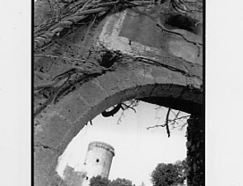Porta Nica